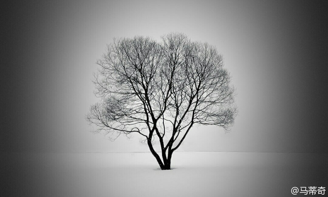 珍惜生命的座右铭