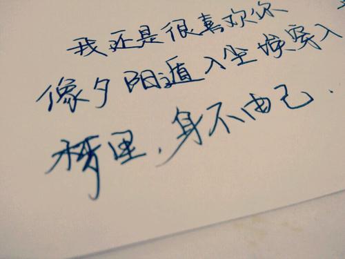 审美和悲伤经典名言