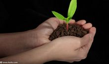 珍惜生命的座右铭