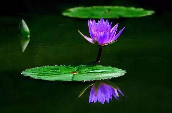 正能量的座右铭1