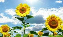 正能量的座右铭大全