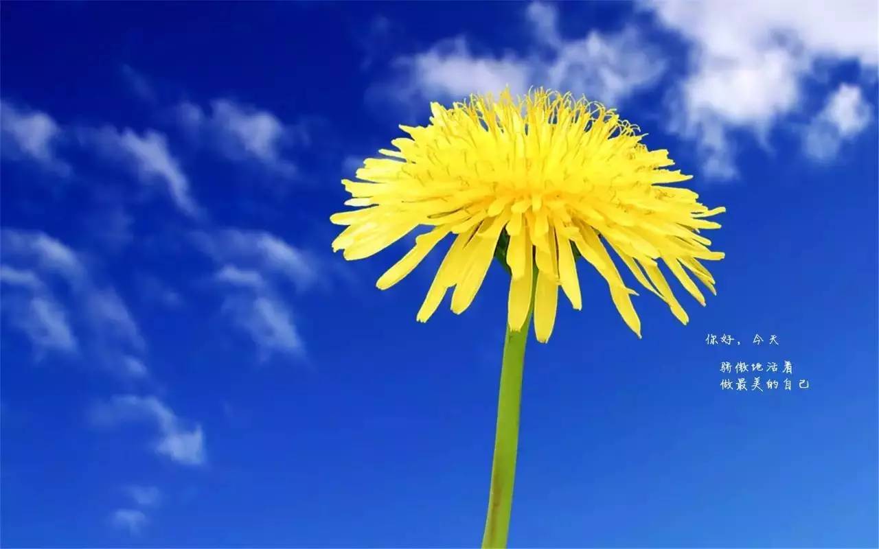 2020全新的早安句子 早上吸引朋友圈的句子 2