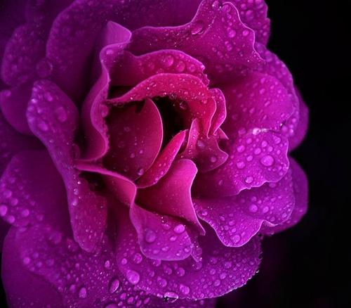 写出有关亲情的古诗文句子 2