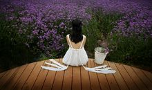 一朝起，一朝落