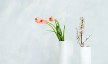 夸人的文艺句子，收起来备用