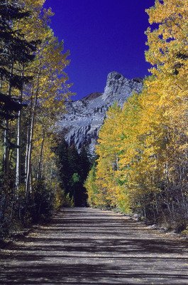 简短短信问候语 2