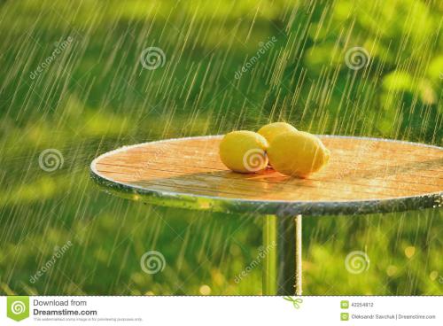 12.不要在树下徘徊，不要在雨中沉思，不要在黑暗中哭泣。向前看，不要回头，只要面对它并抬起头，就会发现分数的阴霾只是一个短暂的雨季。展望未来，仍然有一片明亮的天空不会让人们感到犹豫。