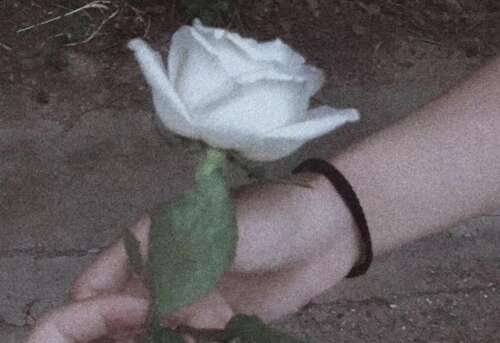 一个人心累的伤感说说 看了想哭的伤感句子 1