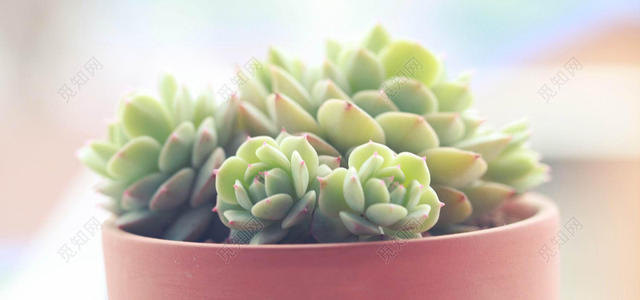 劝男朋友开心的句子 让男友开心的一句话 1