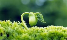 生命感悟名人名言