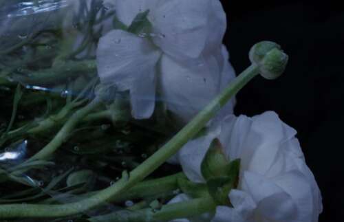 最心酸委屈的伤感句子 爱情里委屈到想哭的伤感说说 1