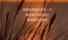 关于明天会更好的句子
