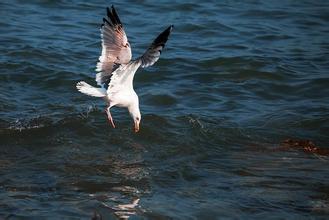 20.失落通常是因为您想要太多，却不珍惜自己拥有的东西。直到一天后，当您沮丧地回首时，您发现自己也有很多正当的事情。我不认为这是件好事，但现在我知道它有多好。