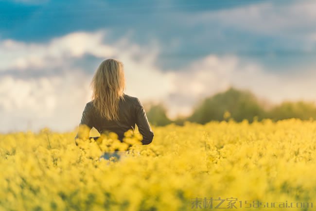 关于保险的座右铭