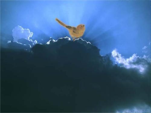 借景抒情的诗句 2