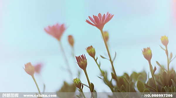 关于保险的座右铭1