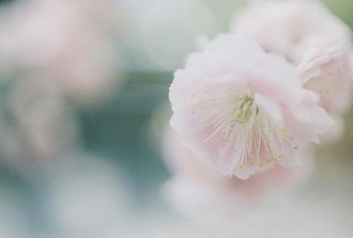 极度伤心绝望的句子亲情 2