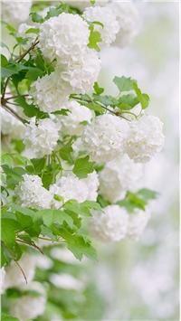 极度伤心绝望的句子亲情 1