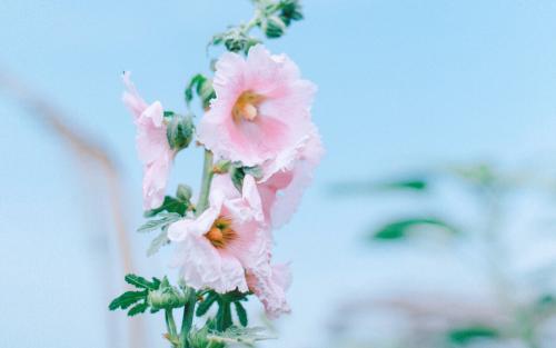 极度伤心绝望的句子亲情