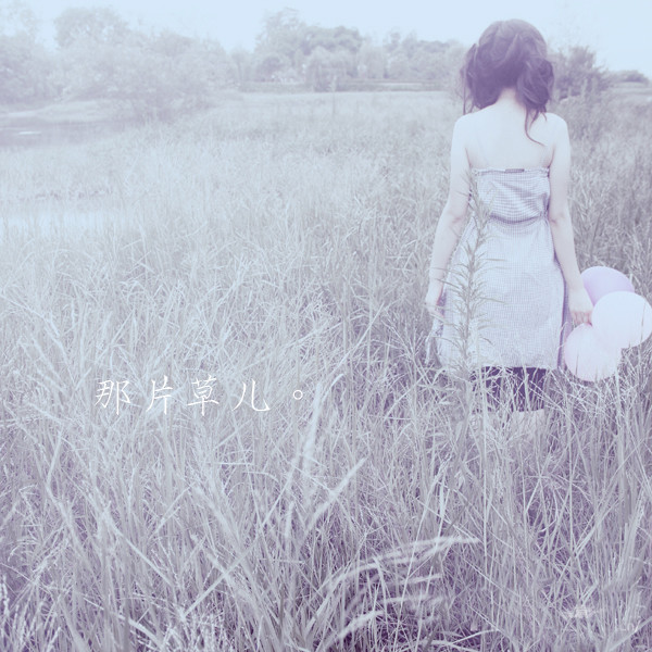 20句优美的句子