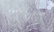 关于优美的句子20句