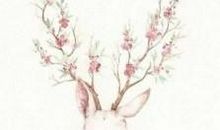 几年未见的亲情句子