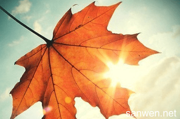 10.我相信，每天早晨，当我们抬起眼睛时，阳光总是以美丽的长风迎接我们。当我们前进时，阳光将指引我们通往开阔的道路，早上短信问候祝您早安！