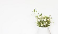 最美青年的座右铭