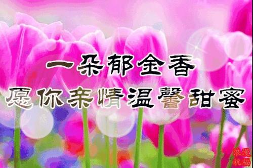 3.8妇女节搞笑短信