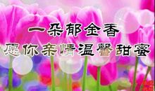 3.8妇女节搞怪短信