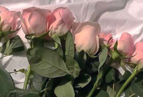 经典伤感句子大全 句句让人心痛的伤感说说语录