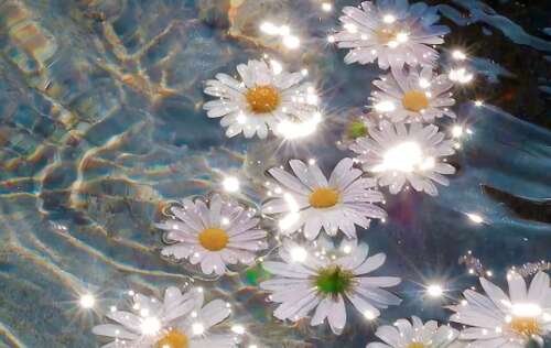 抖音最火伤感句子 抖音扎心伤感语录大全 1