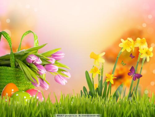 延续家人亲情的句子 2