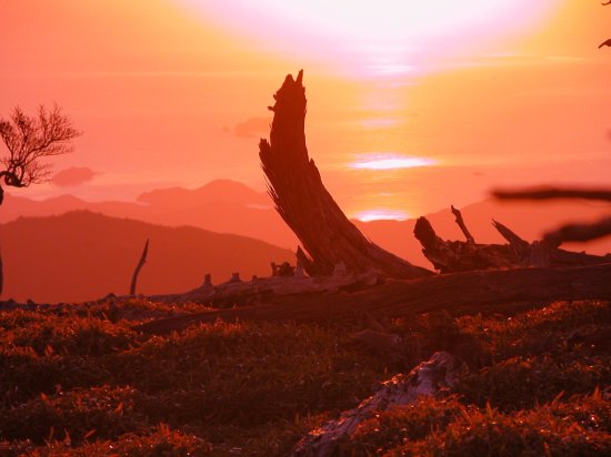 20.对于生活中的每一次经历，我都会写自己的简历。每个人的心中都有一个人，而您不知道另一个人的生活是否好。