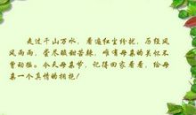 关于红尘的句子