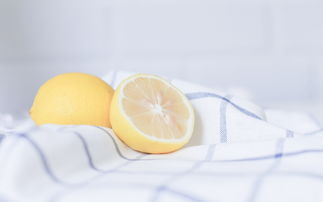 亲情温暖感动的句子说说心情 1