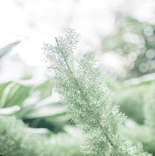 亲情胜于一切的句子