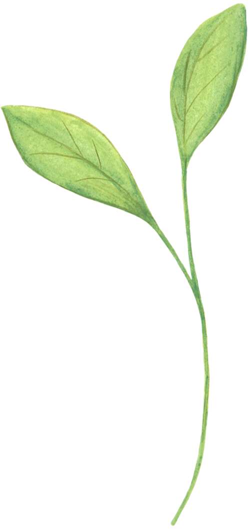 亲情胜于一切的句子 1