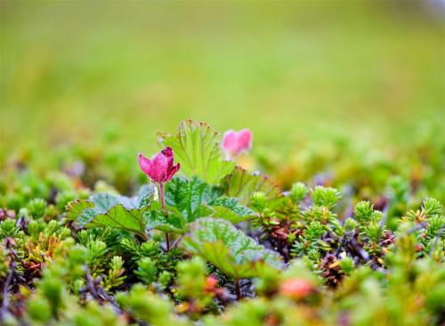 亲情抒情句子精选