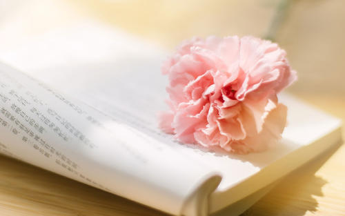 亲情抒情句子精选 1