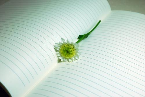 亲情抒情句子精选 2