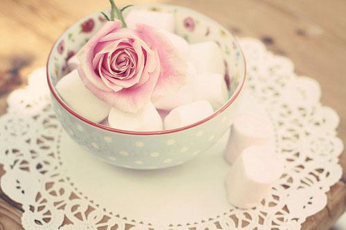 亲情真心经典句子说说心情