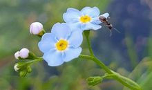 心静无争的句子