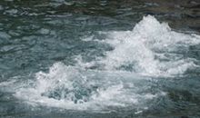 赞美泉水的句子