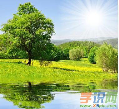 关于春游的古诗