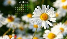 希望闺蜜开心的句子