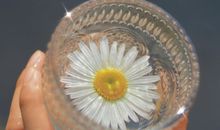 自律努力的朋友圈文案 励志的句子大全