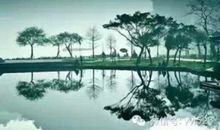 静心静养的句子