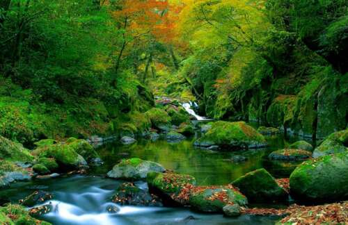 集团最佳销售团队口号展示 1