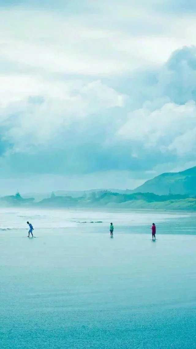 赞美亲情的句子大全用